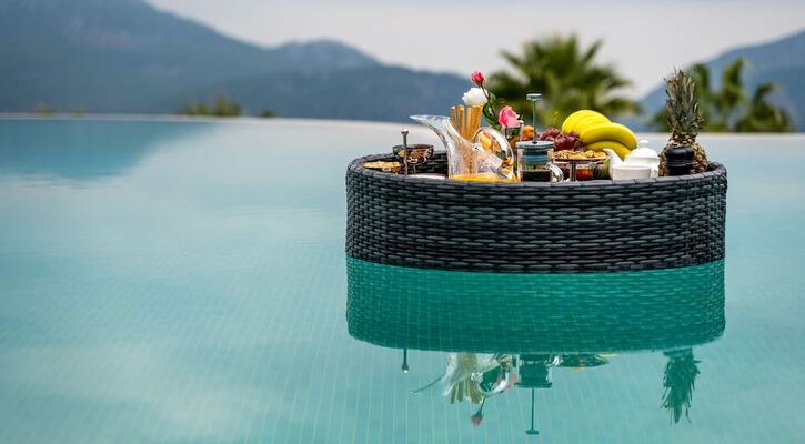 DEDEMAN OLYMPOS HEALTH RESORT