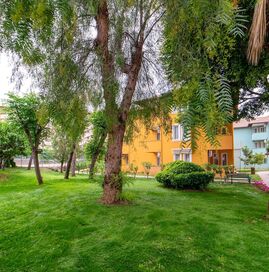 Armas Green Fuğla